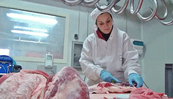 aveyron viande directe pascale